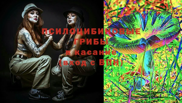 индика Алексеевка
