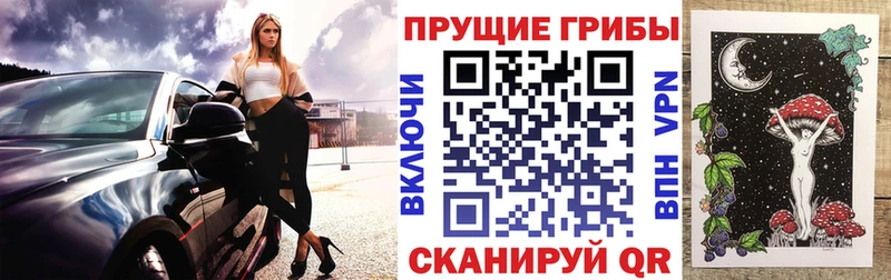 как найти закладки  Аша  Псилоцибиновые грибы Cubensis 