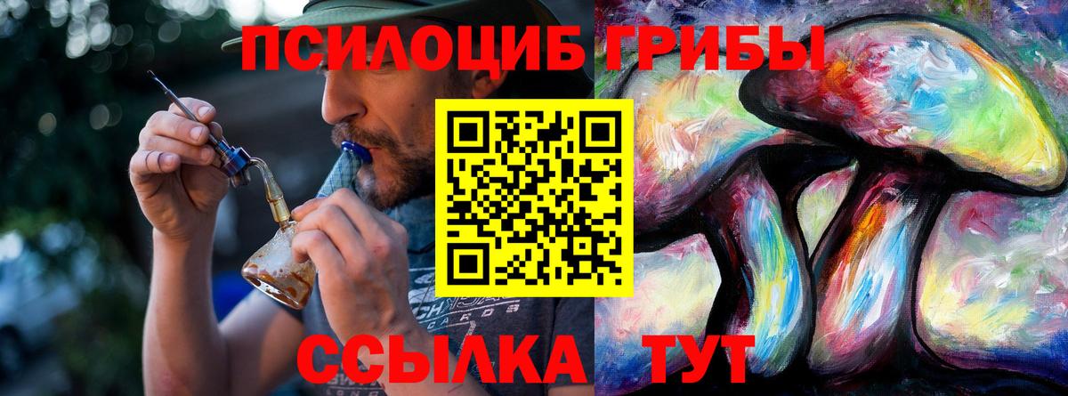 Псилоцибиновые грибы Psilocybe  Вход с VPN  Аша 