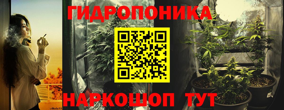 Конопля VHQ  Бошки Шишки тримм  МАРИХУАНА Bruce Banner  Вход с VPN  Аша 